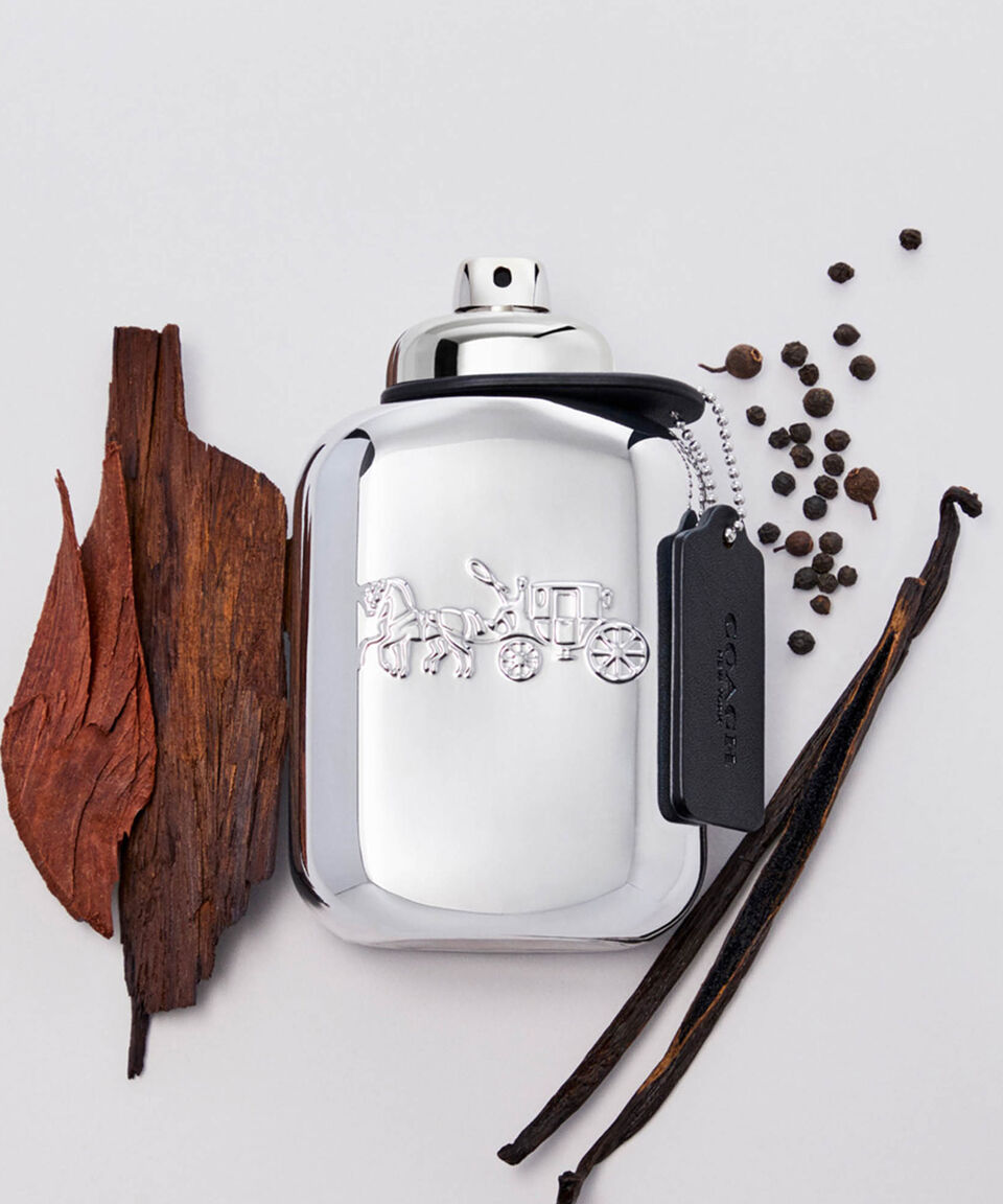 COACH Men New York Platinum