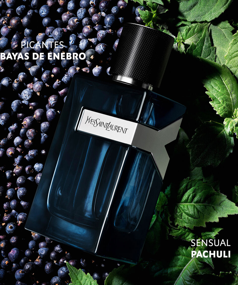 Yves Saint Laurent Y Intense
