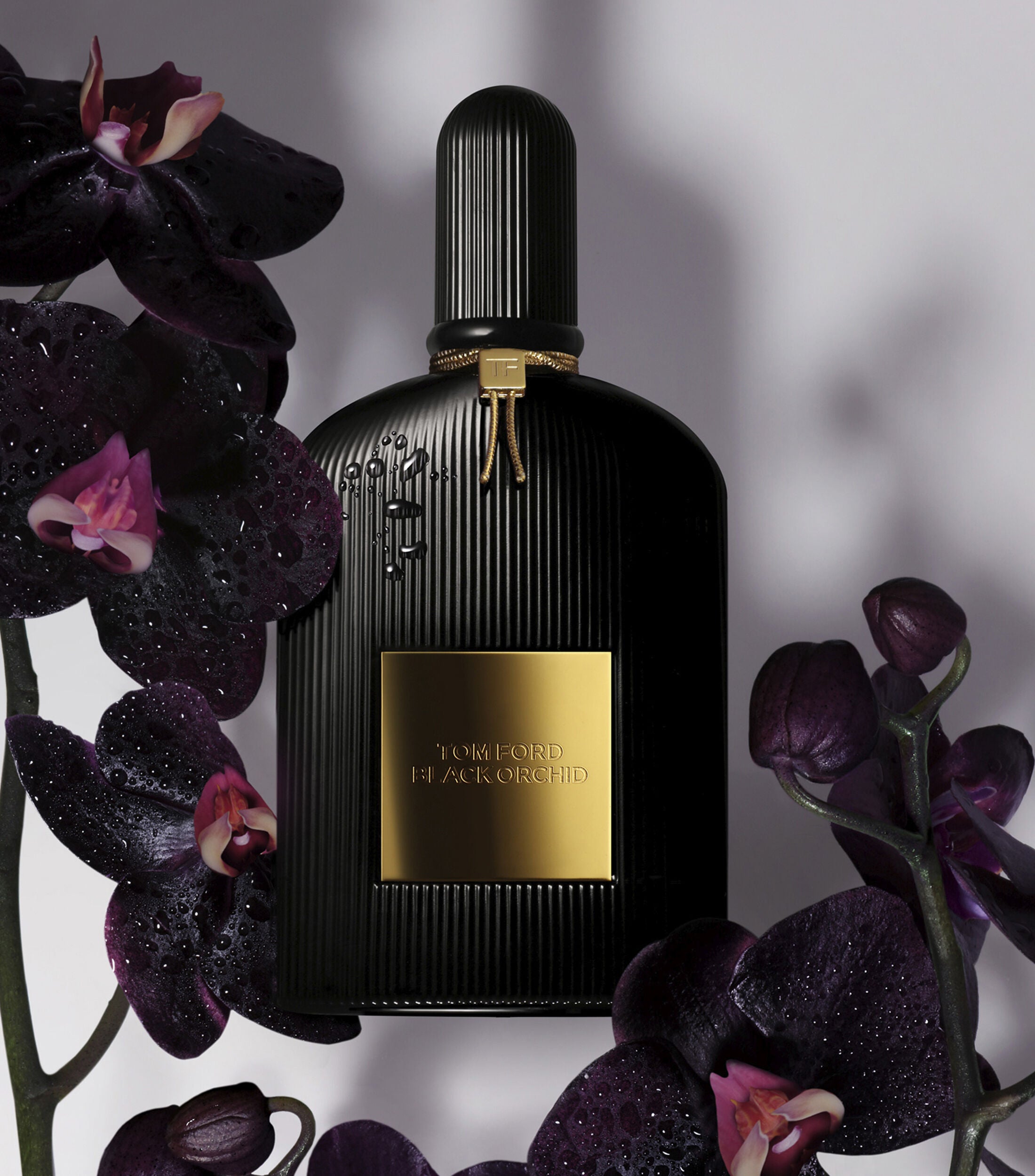 TOM FORD BLACK ORCHID