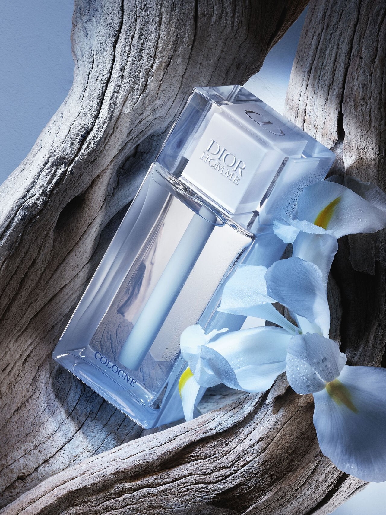 Fragancia Dior Homme Cologne Perfume