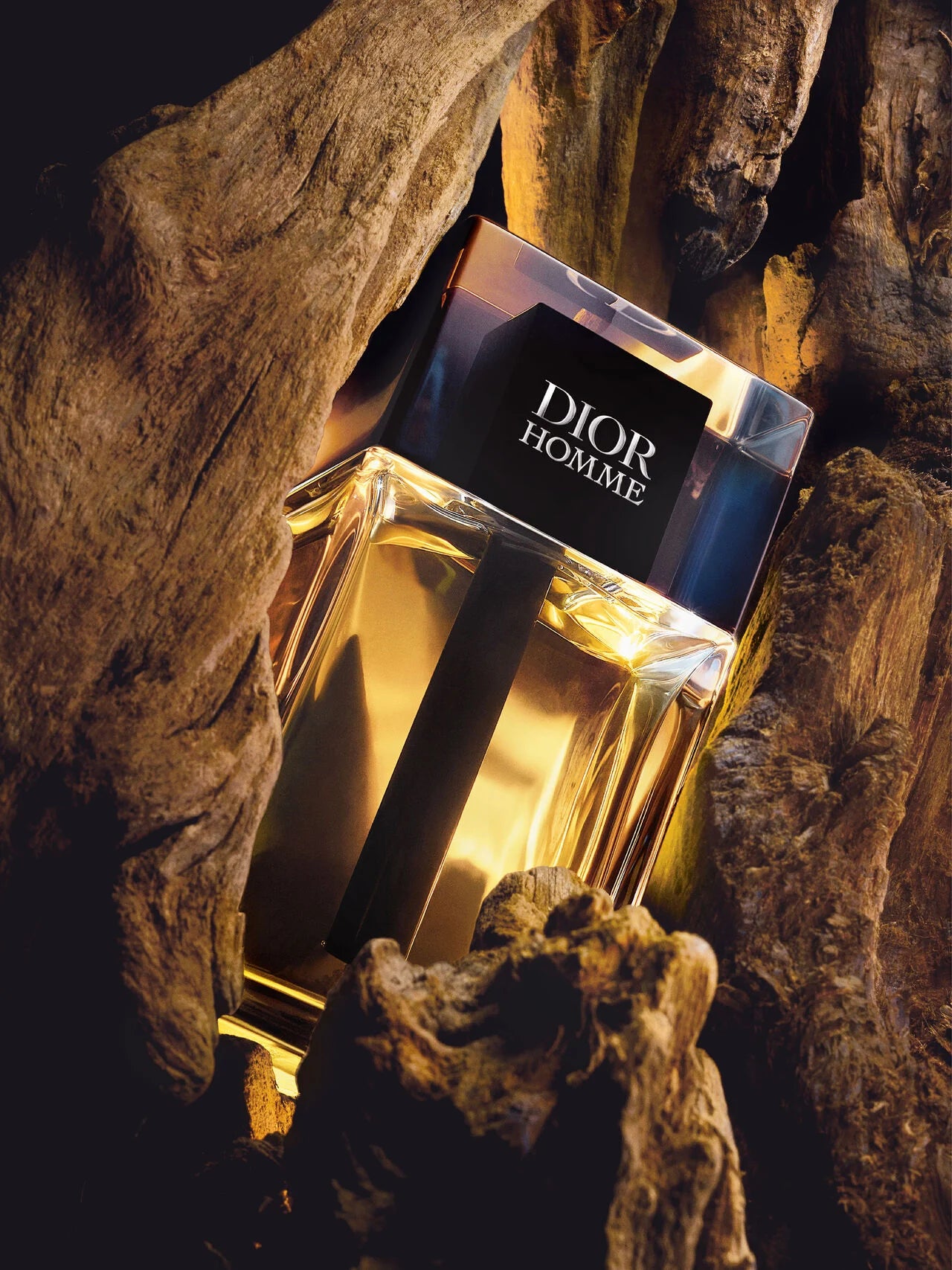Fragancia Dior Homme Perfume