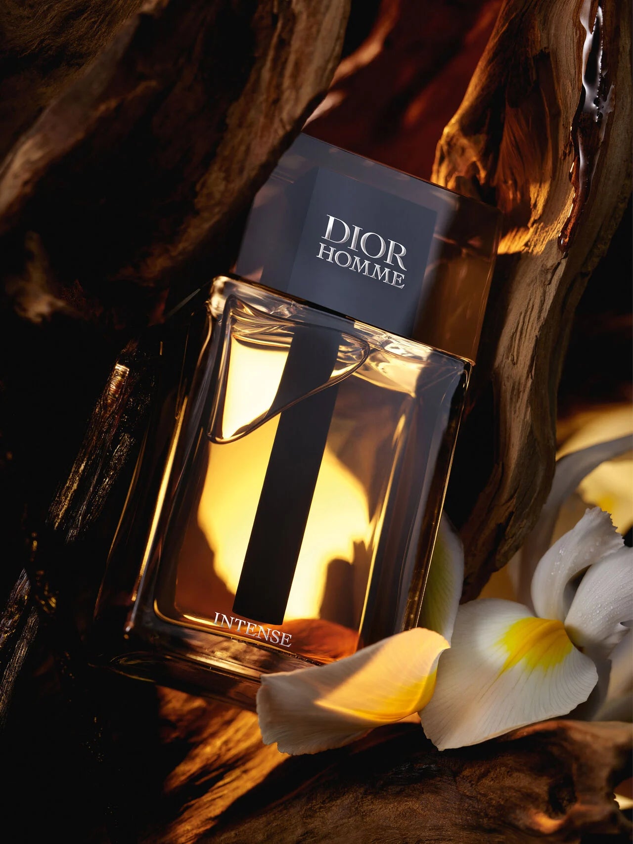 Fragancia Dior Homme Intense Perfume